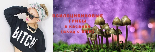 ешки Алексин