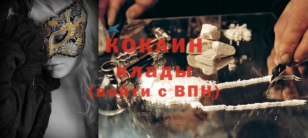 ешки Алексин