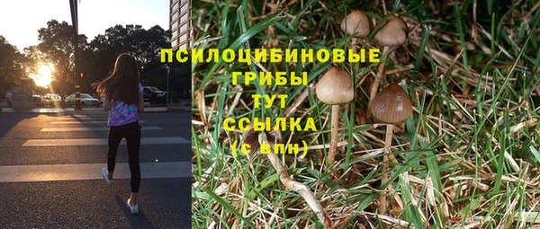 тгк Инсар