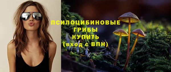 не бодяженный Алзамай